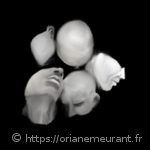 There is nothing to look at